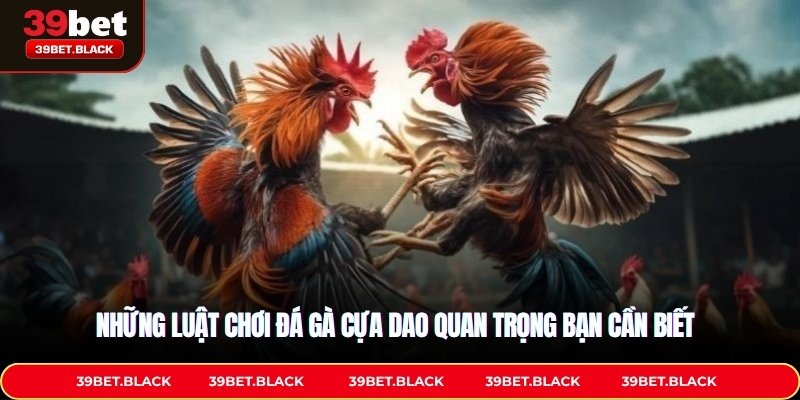 Những luật chơi đá gà cựa dao quan trọng bạn cần biết