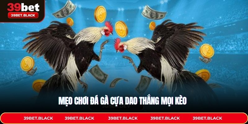 Mẹo chơi đá gà cựa dao thắng mọi kèo