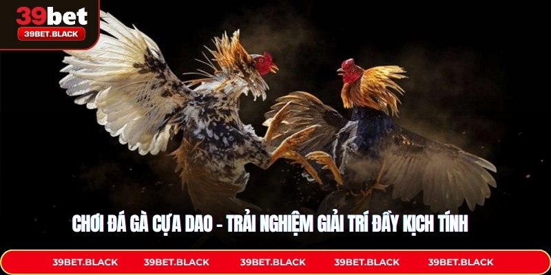 Chơi Đá Gà Cựa Dao – Trải Nghiệm Giải Trí Đầy Kịch Tính 