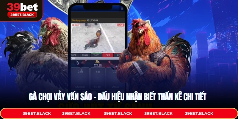 Gà Chọi Vảy Vấn Sáo – Dấu Hiệu Nhận Biết Thần Kê Chi Tiết