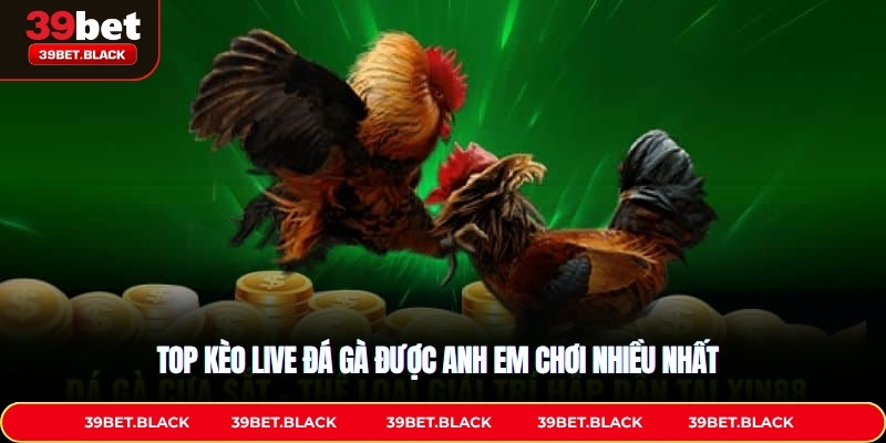 Top kèo live đá gà được anh em chơi nhiều nhất