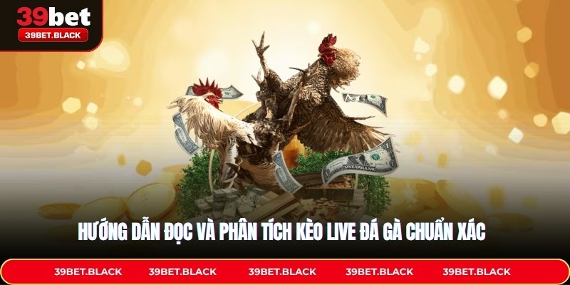 Hướng dẫn đọc và phân tích kèo live đá gà chuẩn xác