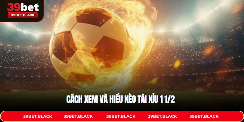 Cách xem và hiểu kèo Tài xỉu 1 1/2